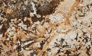 Natural Stone stone product